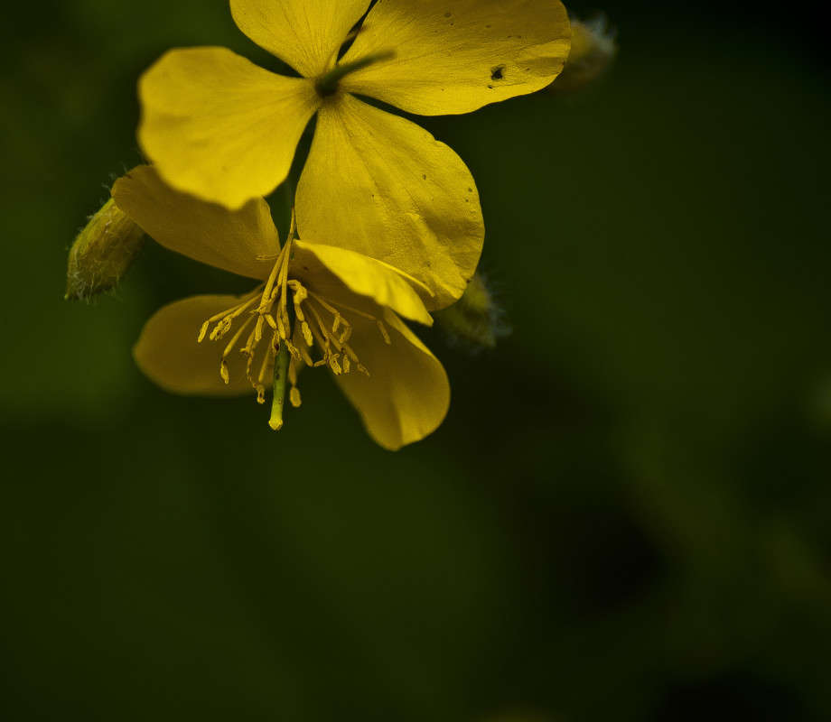 ���� ���� ����� ����� ����� ������� �� PhotoGeek.ru #�����