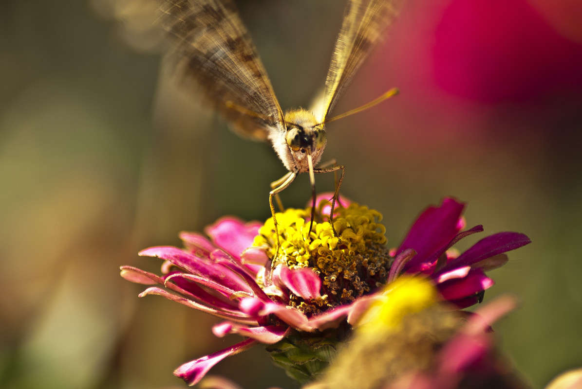 ������ ����� ����� ������� �� PhotoGeek.ru #�����