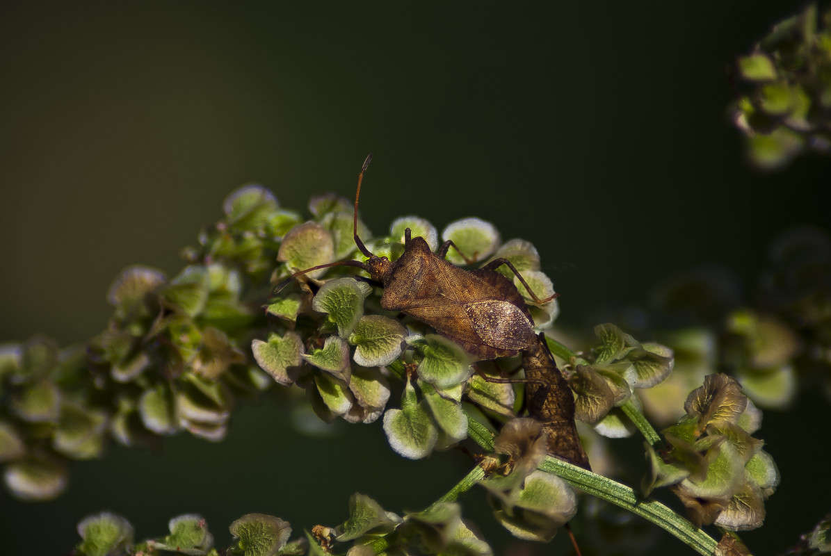 � �� ��� ��� ��� ������? ����� ����� ������� �� PhotoGeek.ru #�����