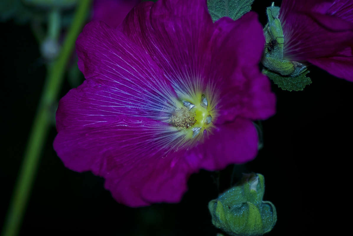 �� ������ ����� ����� ����� ����� ����� ������� �� PhotoGeek.ru #�����