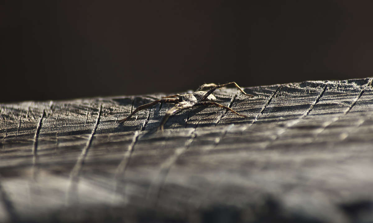 ��������� ����� ����� ������� �� PhotoGeek.ru #�����