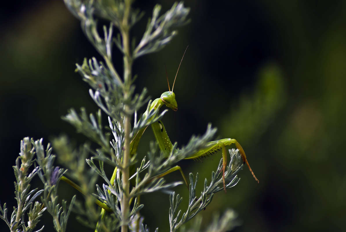 �������� ����� ����� ������� �� PhotoGeek.ru #�����