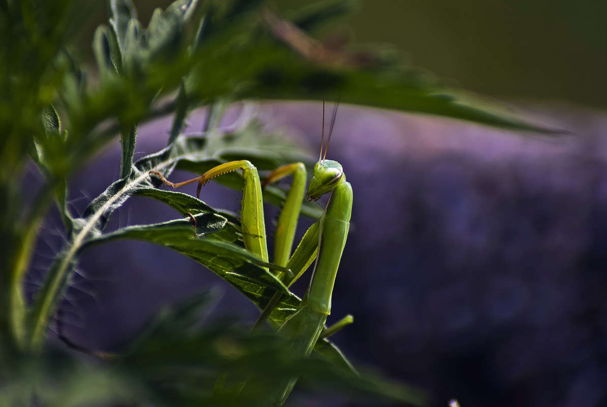 �������� ����� ����� ������� �� PhotoGeek.ru #�����