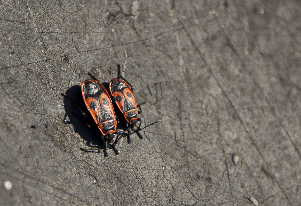 �������� ������ ����� ����� ������� �� PhotoGeek.ru #�����