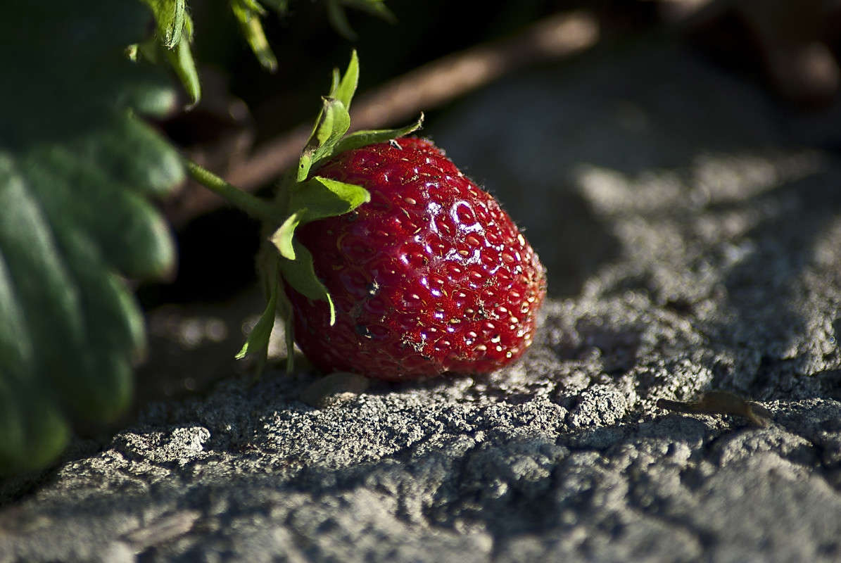 ���� ��� �� ��������� ����� ����� ������� �� PhotoGeek.ru #�����