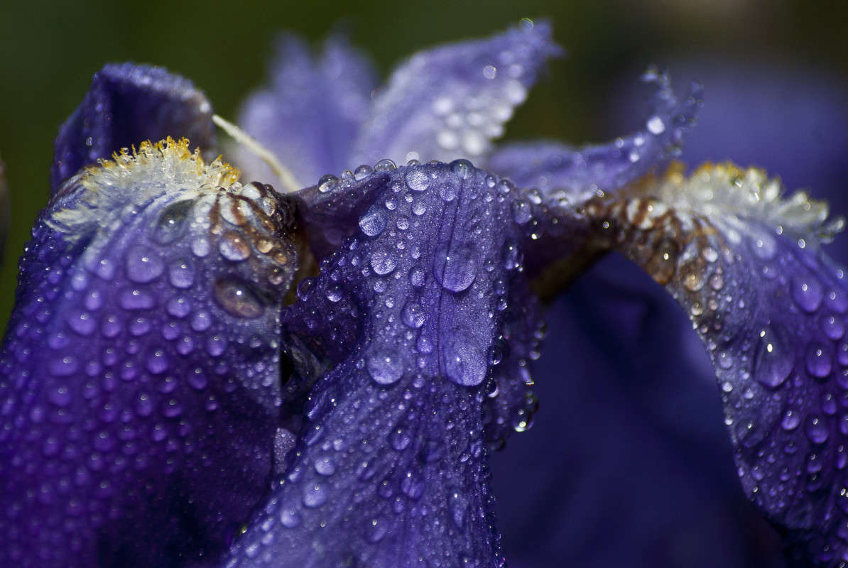 ����������� ����� ����� ����� ������� �� PhotoGeek.ru #�����