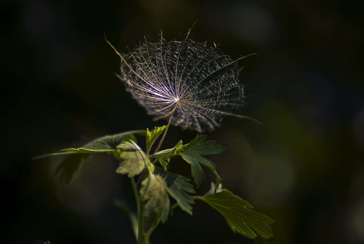 ������ ����� ����� ������� �� PhotoGeek.ru #�����