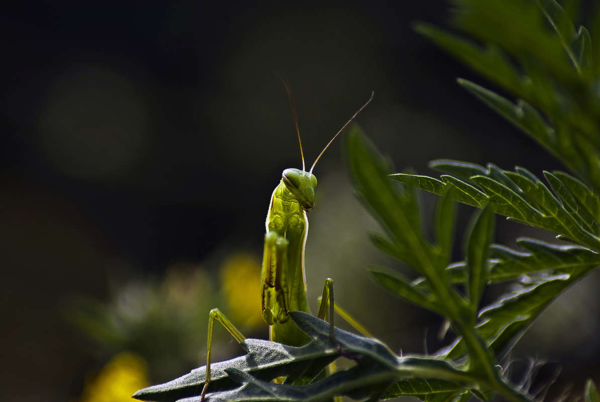 �������� ����� ����� ������� �� PhotoGeek.ru #�����