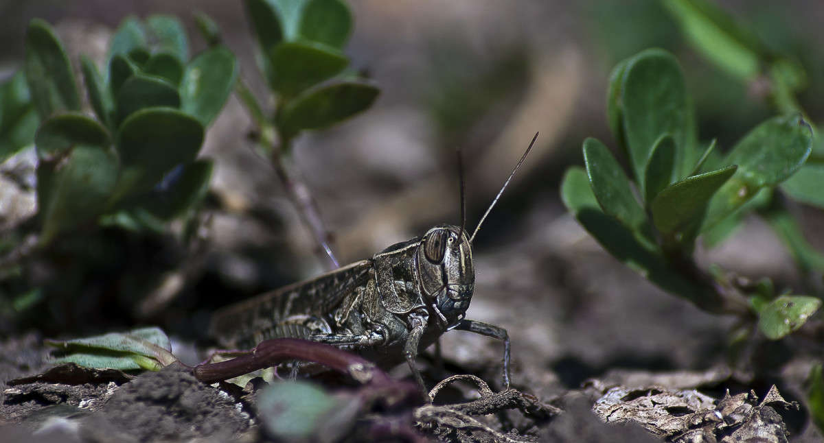 ������ ����� ����� ������� �� PhotoGeek.ru #�����