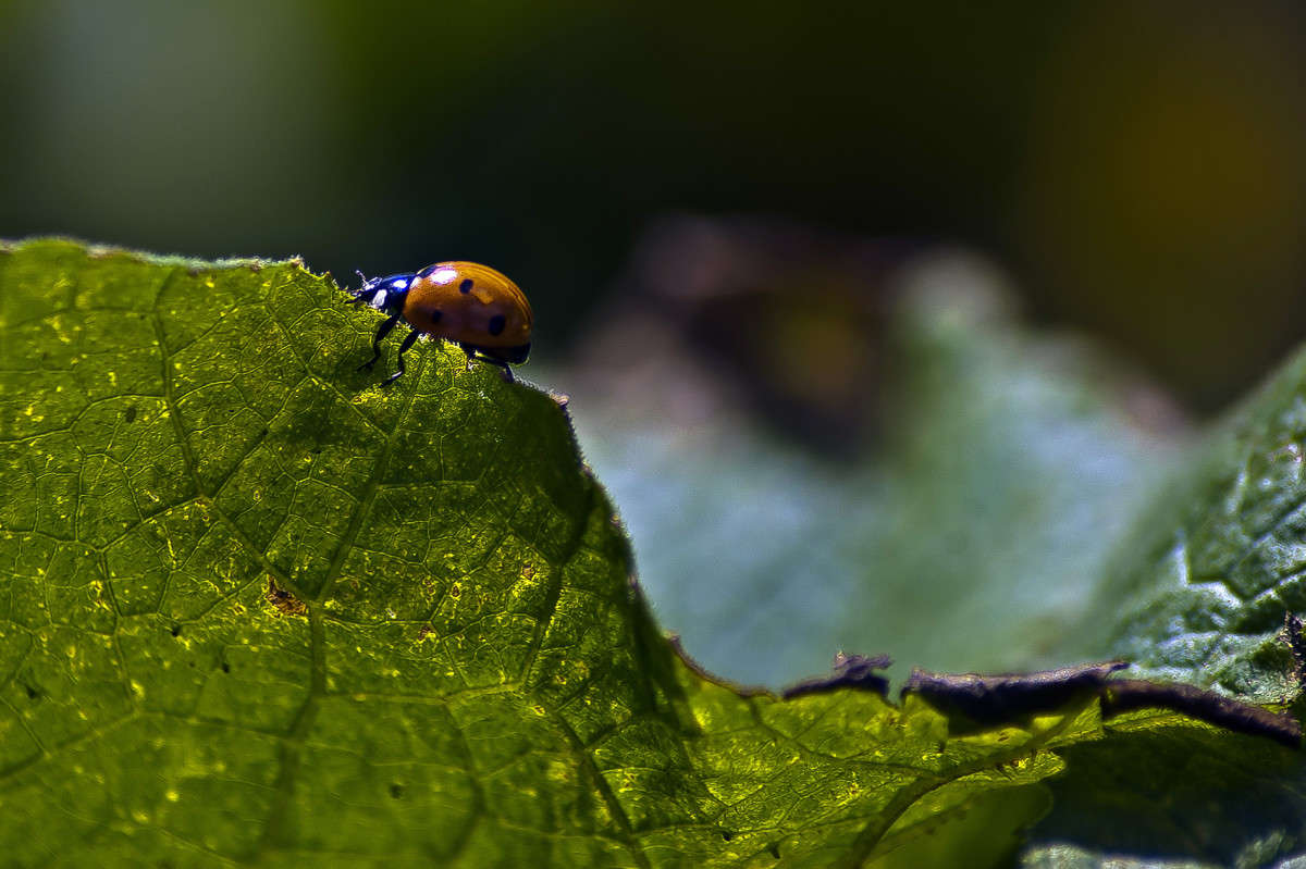 �� ���� ����� ����� ������� �� PhotoGeek.ru #�����