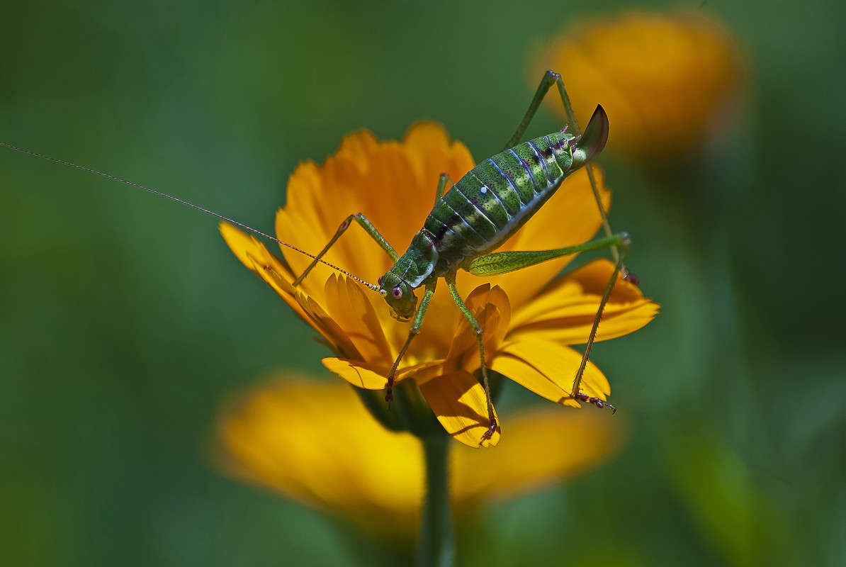 ������ ���� ����� ����� ������� �� PhotoGeek.ru #�����