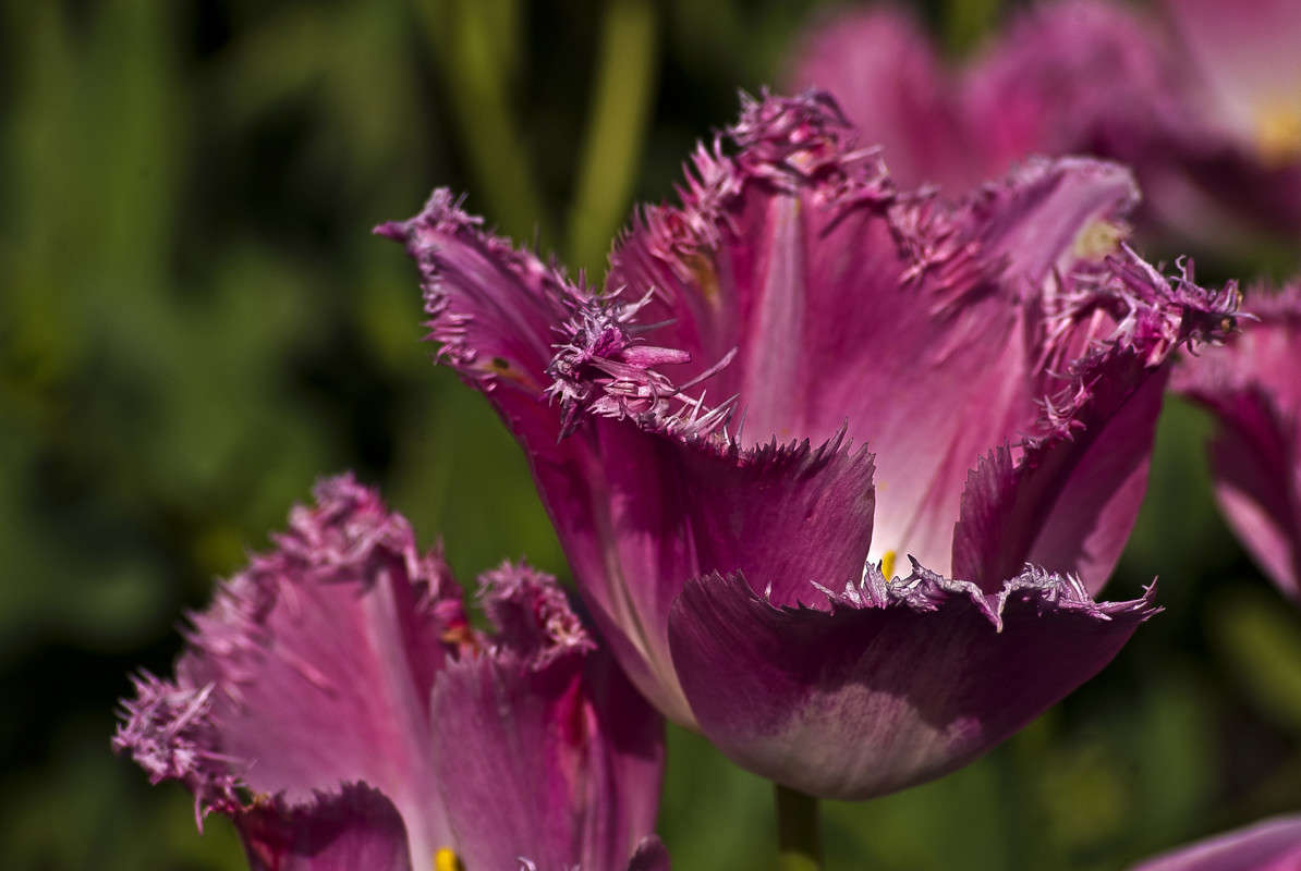 ���������� ����� ����� ������� �� PhotoGeek.ru #�����