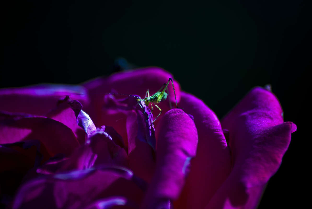 ����� ���� ����� ����� ������� �� PhotoGeek.ru #�����