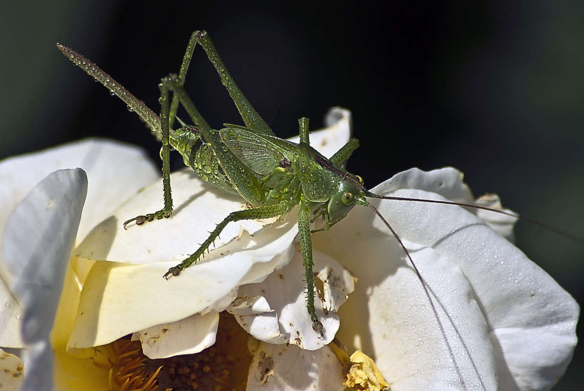 ���� ������������ ����� ����� ������� �� PhotoGeek.ru #�����