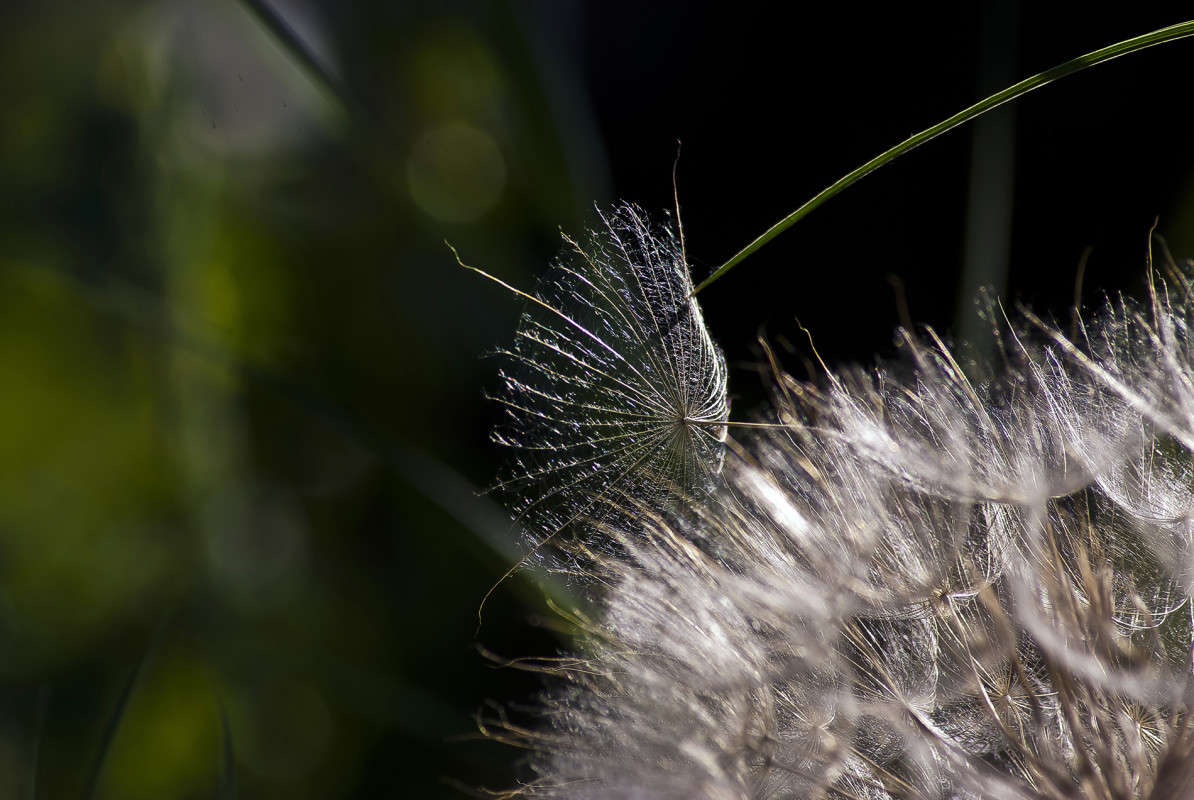 �������� ����� ����� ������� �� PhotoGeek.ru #�����