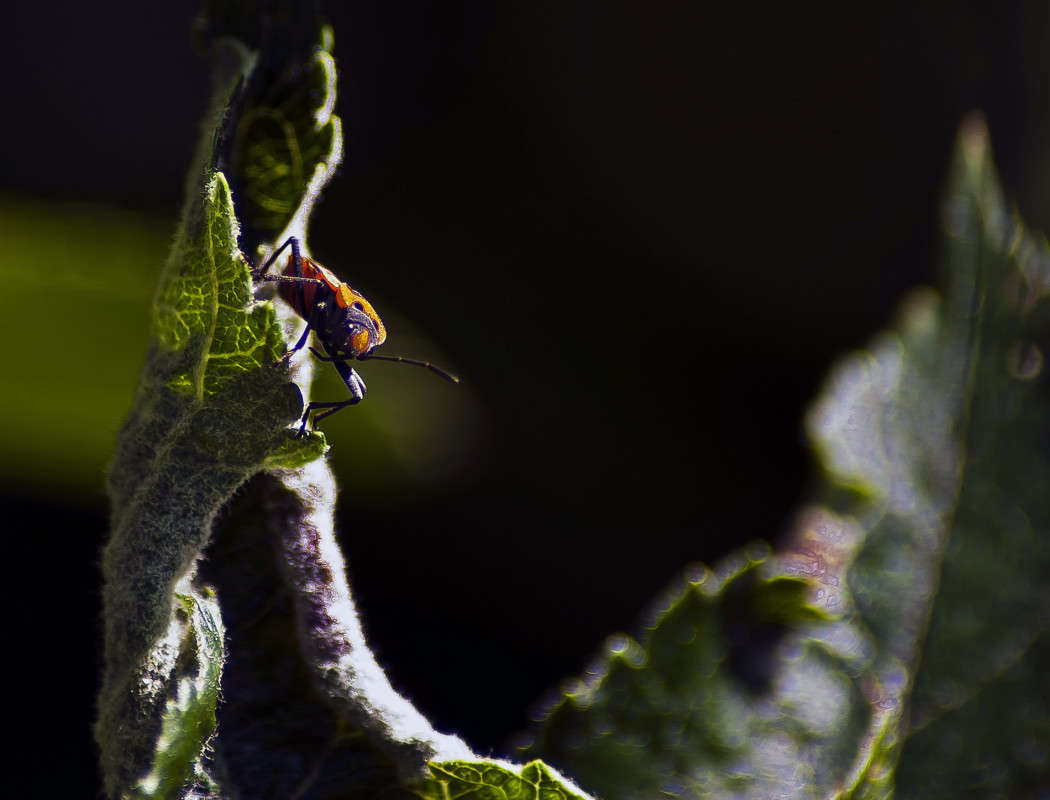 ������� ����� ����� ������� �� PhotoGeek.ru #�����