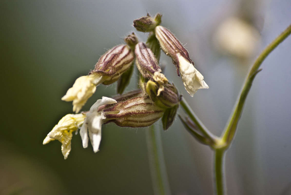 ����� ��� ����� ����� ������� �� PhotoGeek.ru #�����