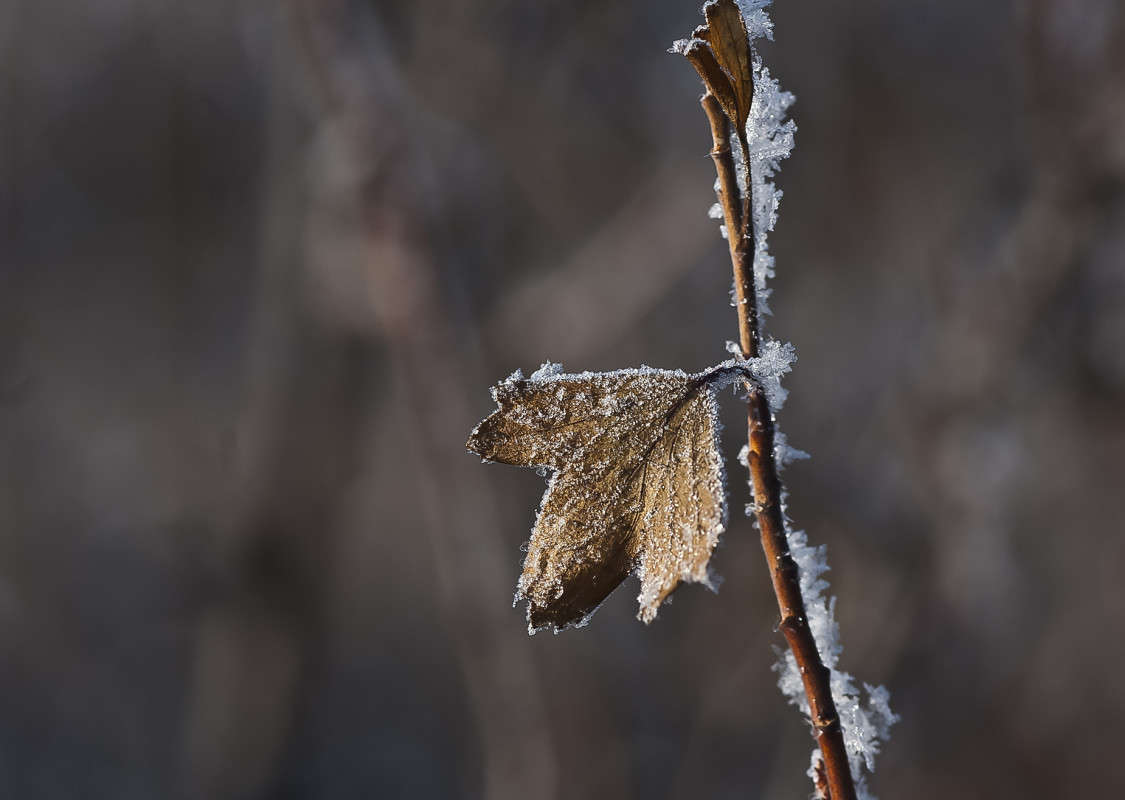 ����� ����� ����� ������� �� PhotoGeek.ru #������ ��� �������