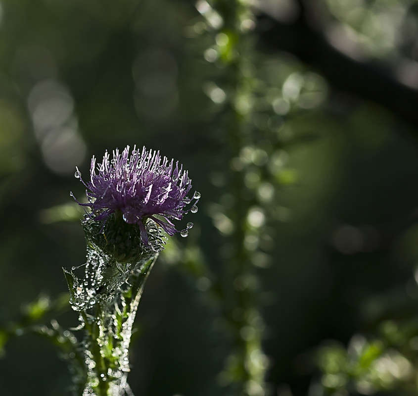 ����������� ����� ����� ����� ������� �� PhotoGeek.ru #�����