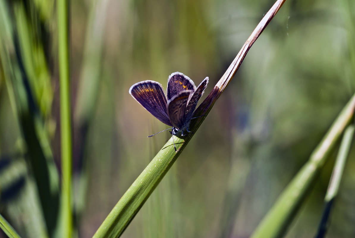 ������� ����� ����� ������� �� PhotoGeek.ru #�����