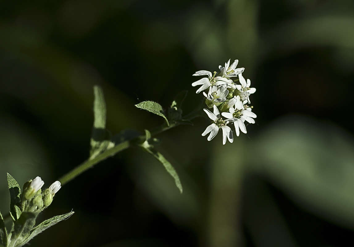 ��������� ����� ����� ������� �� PhotoGeek.ru #�����