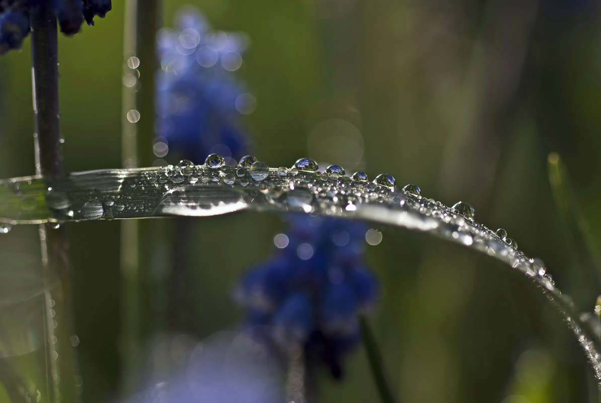 ����������� ����� ����� ����� ������� �� PhotoGeek.ru #�����