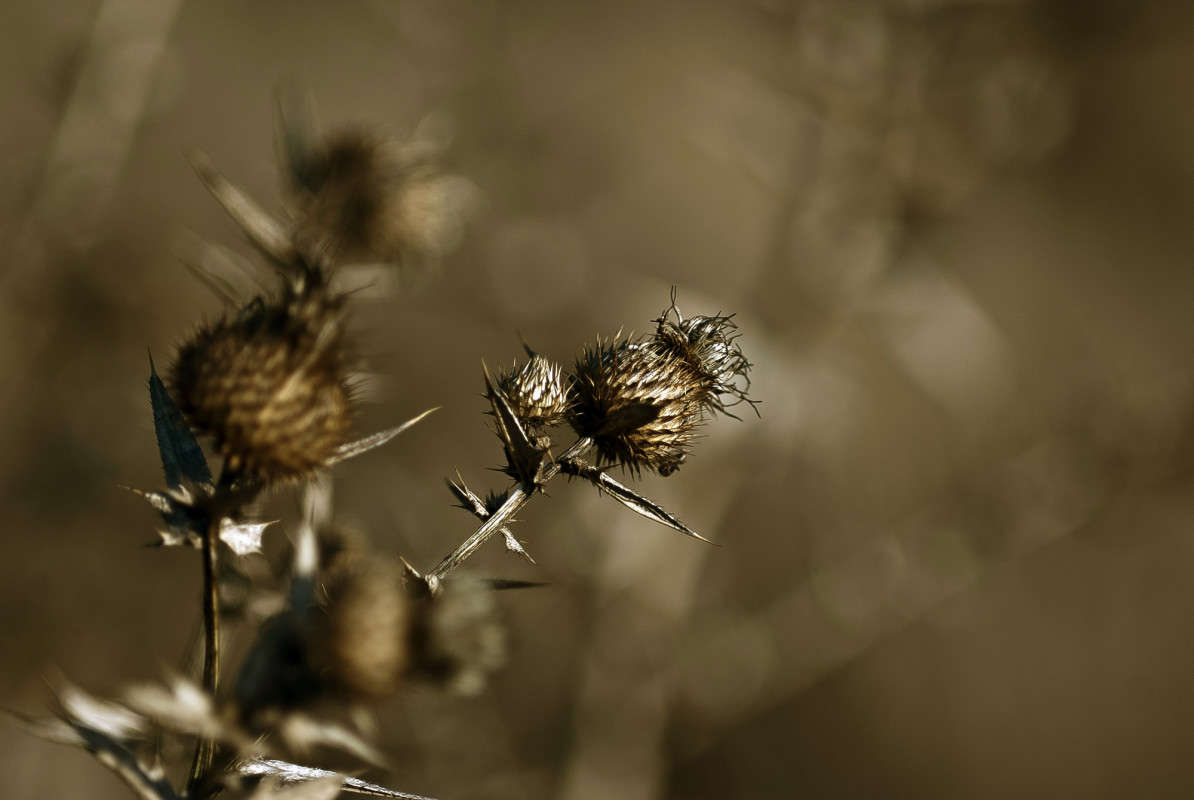 ������ ������� ����� ����� ������� �� PhotoGeek.ru #������ ��� �������