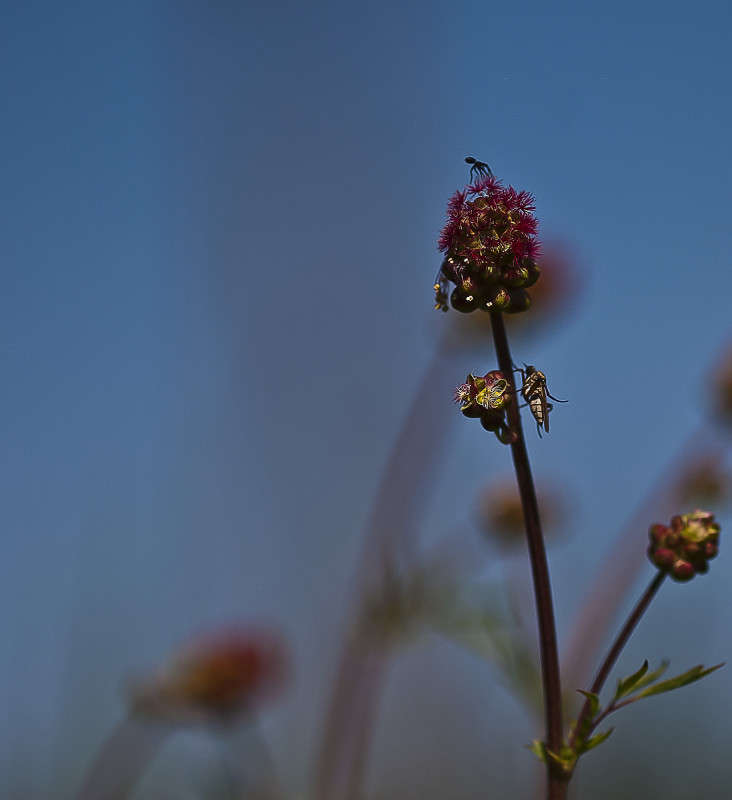 ...�������� �� ����... ����� ����� ������� �� PhotoGeek.ru #�����