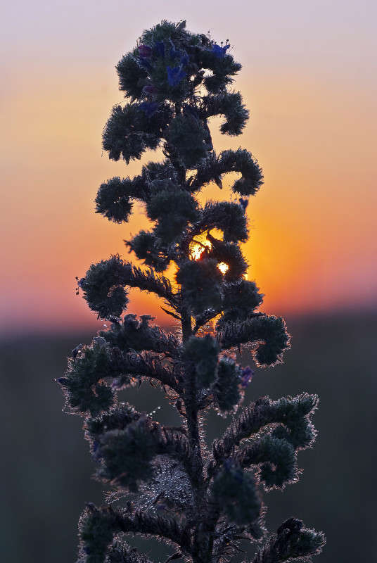 �� ������ ��������� � ������... ����� ����� ������� �� PhotoGeek.ru #������ ��� �������