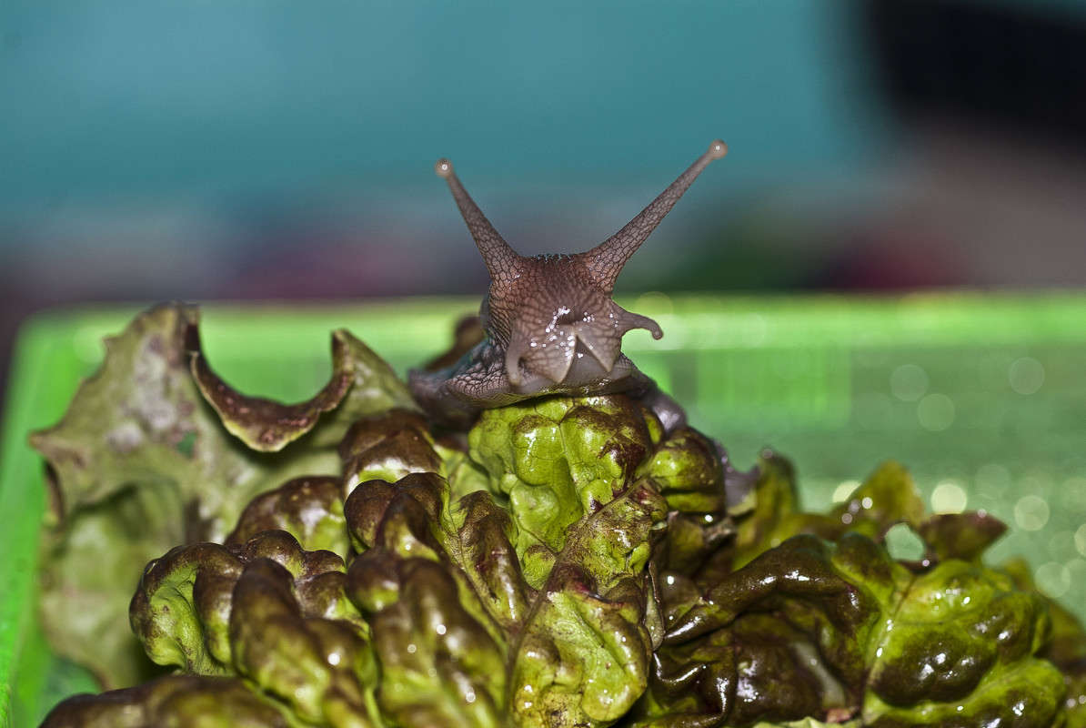 ������� ����� ����� ������� �� PhotoGeek.ru #�����