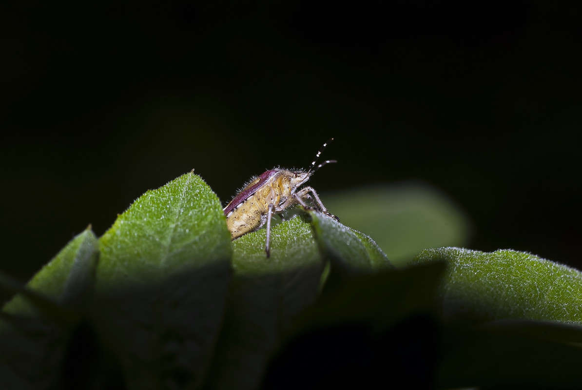 ����� ������ ������! ����� ����� ������� �� PhotoGeek.ru #�����