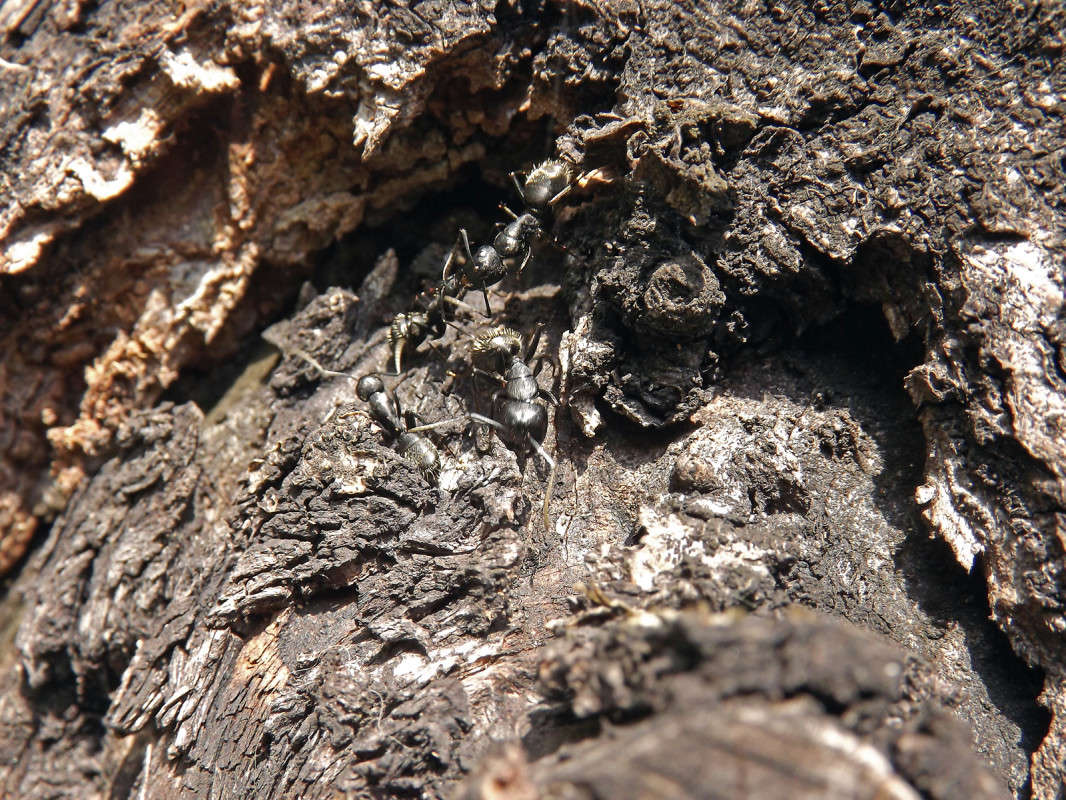 ������� ����� ����� ������� �� PhotoGeek.ru #�����