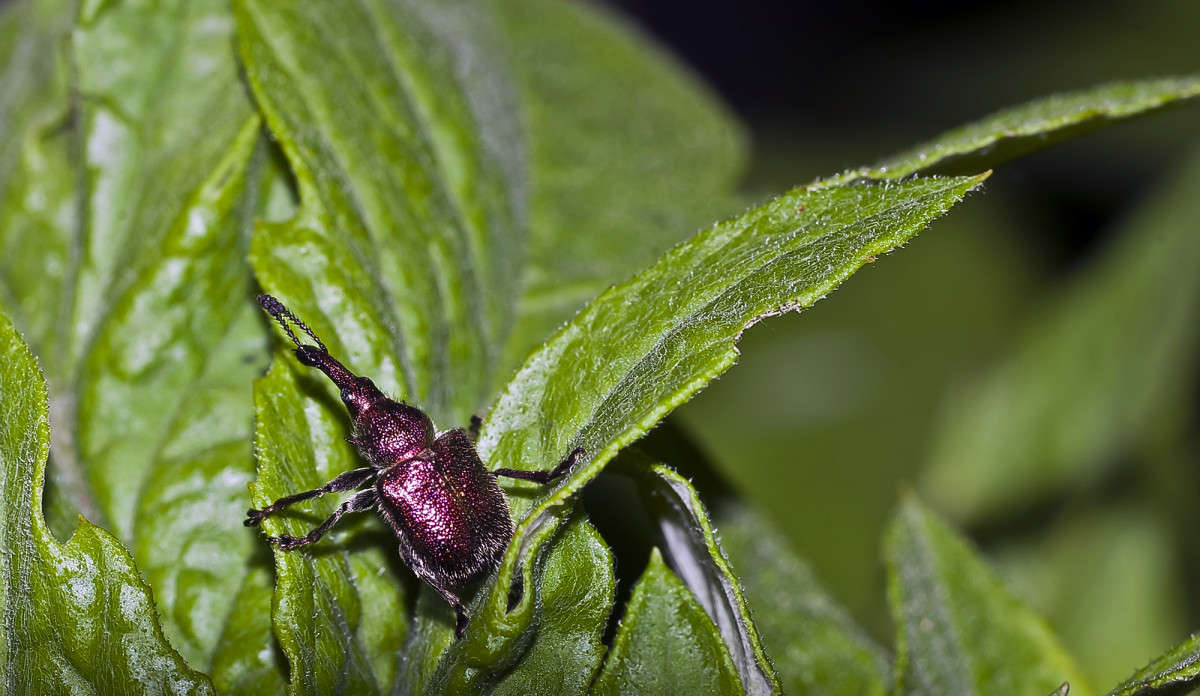 ��������� ��� ����� ����� ������� �� PhotoGeek.ru #�����