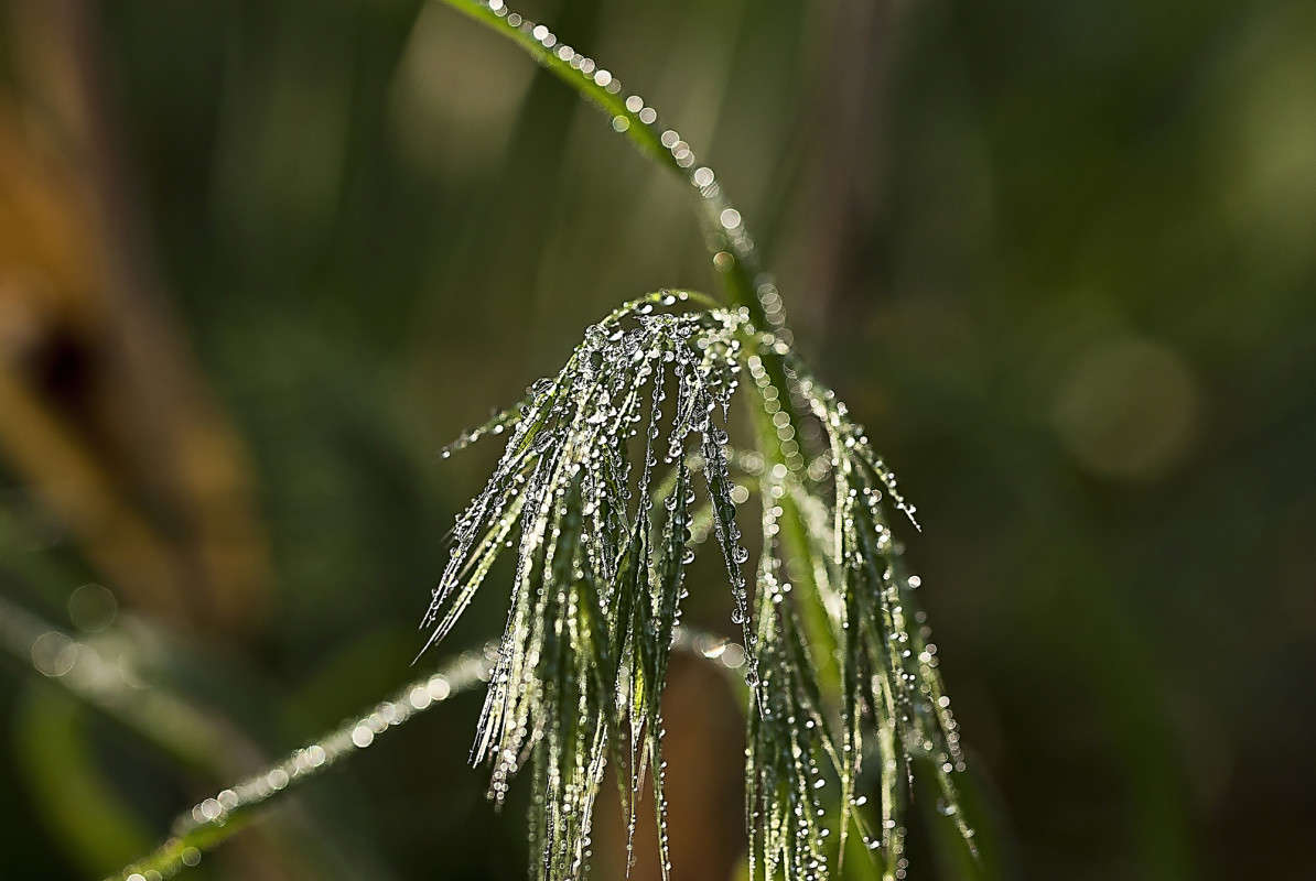 ����������� ����� ����� ����� ������� �� PhotoGeek.ru #������ ��� �������