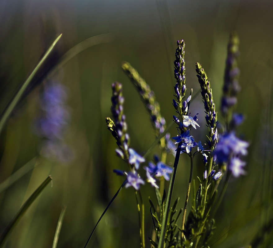 ��������� ����� ����� ������� �� PhotoGeek.ru #������ ��� �������