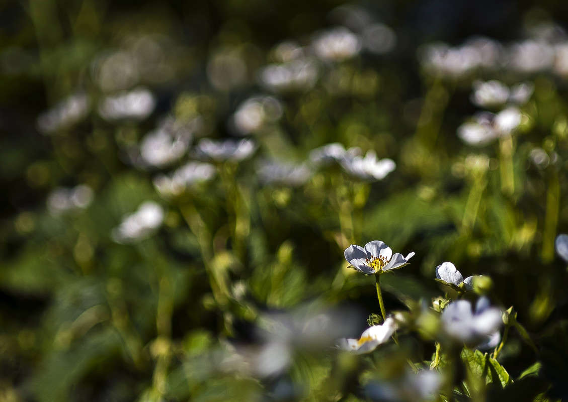 ��������� ����� ����� ������� �� PhotoGeek.ru #������ ��� �������