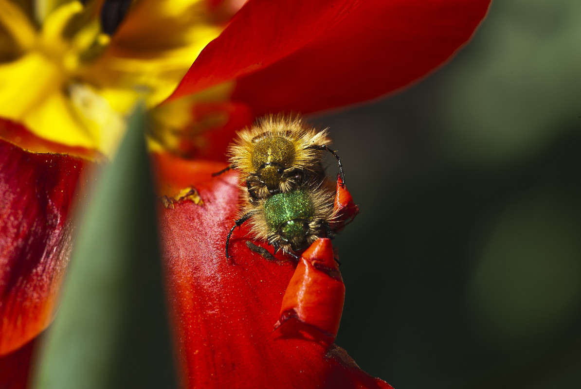 ....��� �� ������ ������������... ����� ����� ������� �� PhotoGeek.ru #�������� ���