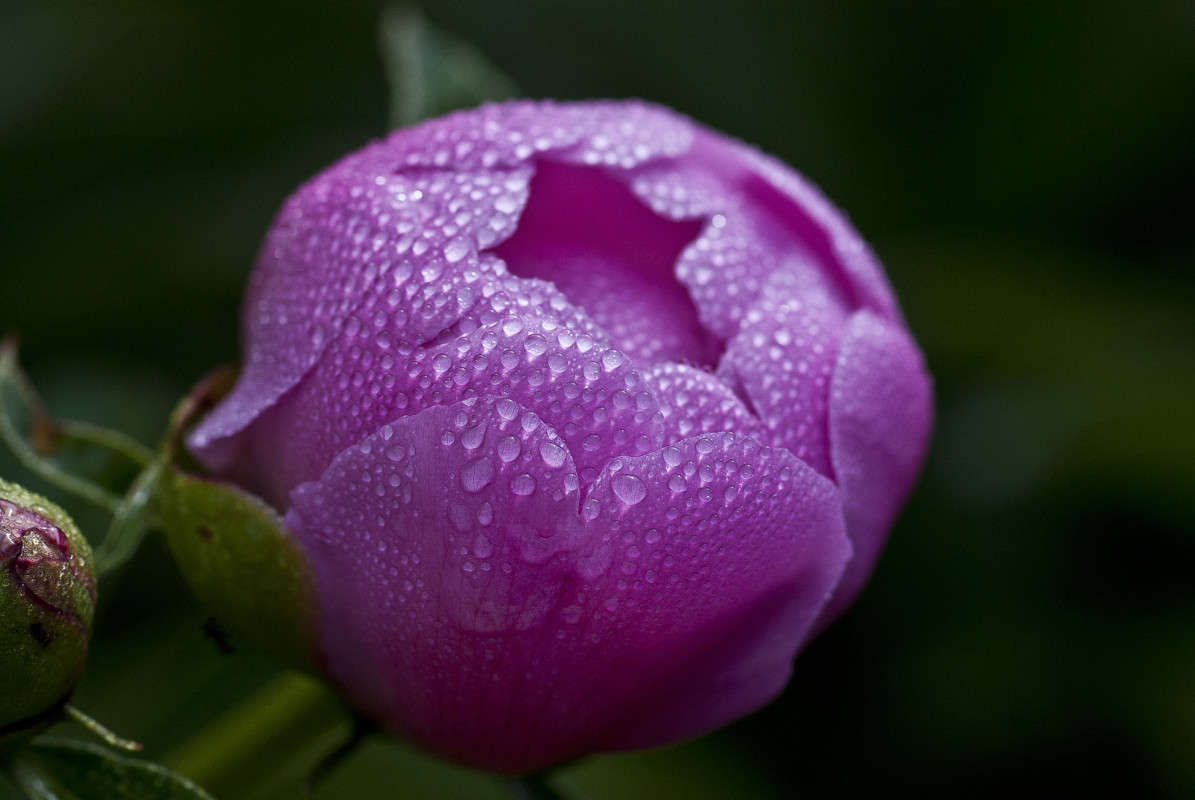 "���������" ����� ����� ������� �� PhotoGeek.ru #�����