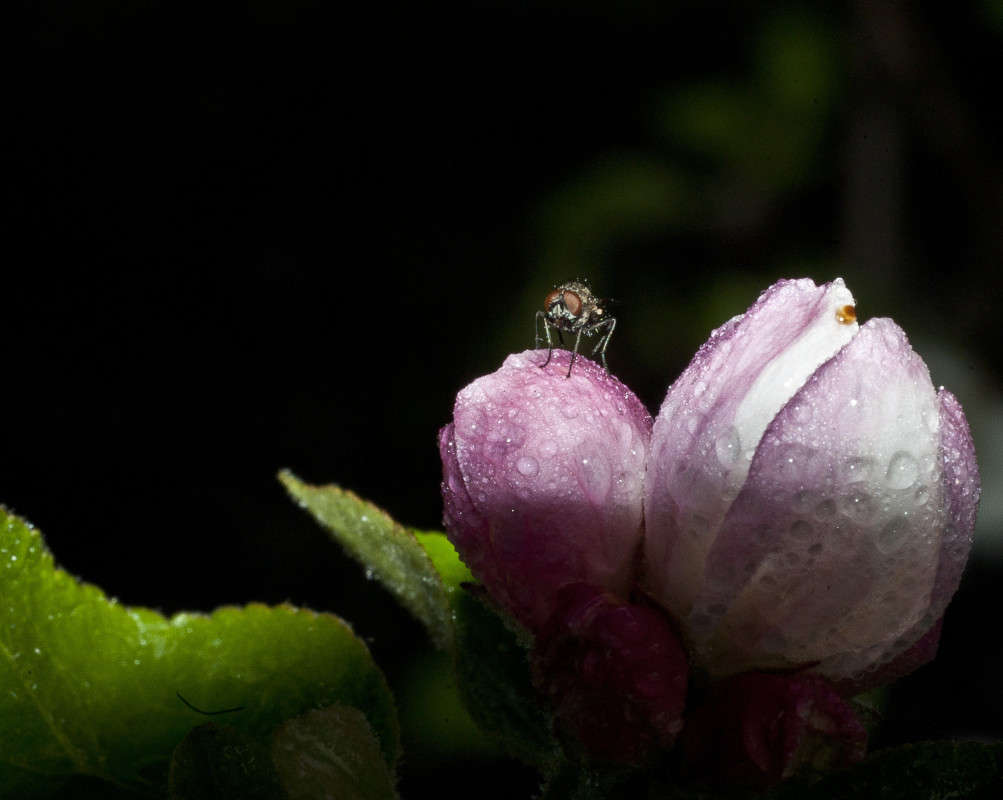 ������ ����� ����� ������� �� PhotoGeek.ru #�����