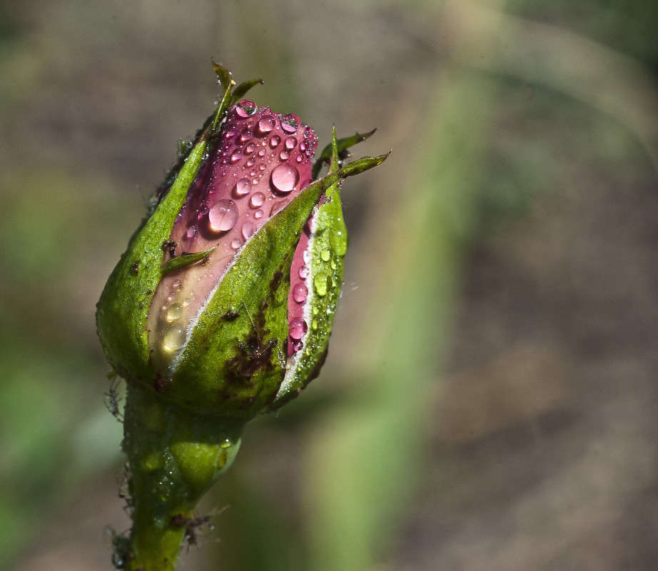 �������� ������ ����� ����� ������� �� PhotoGeek.ru #�����