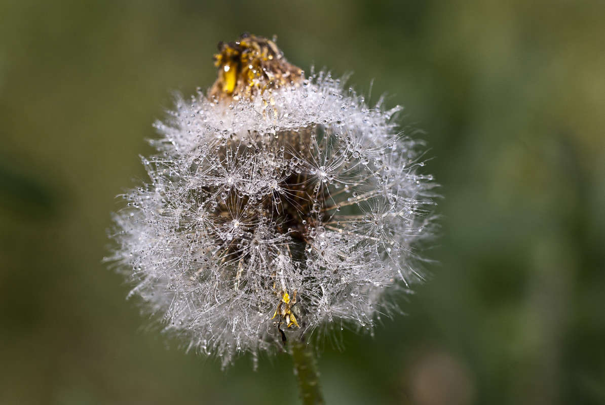 ����������� ����� ����� ����� ������� �� PhotoGeek.ru #�����