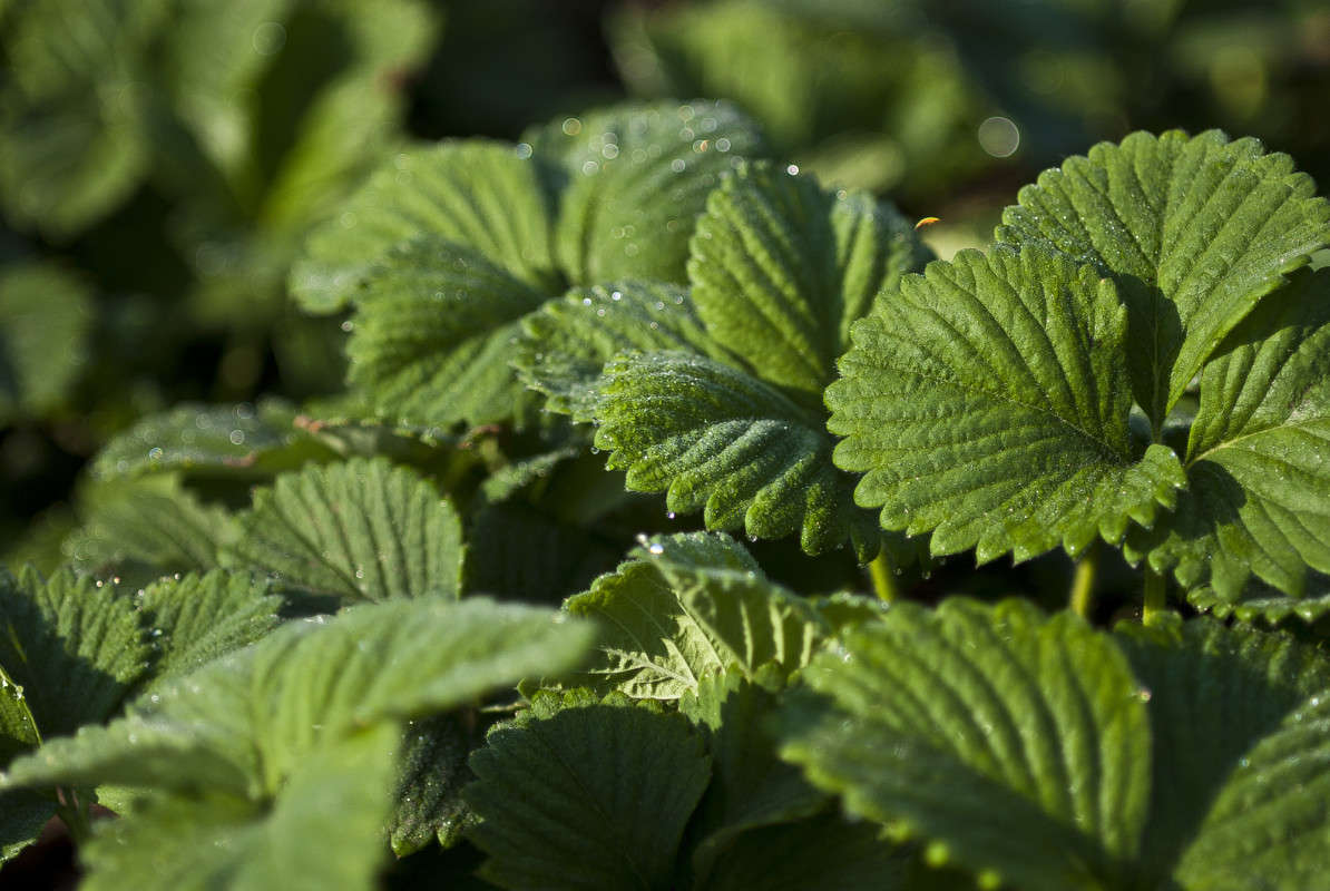 ...���� � ��� �����... ����� ����� ������� �� PhotoGeek.ru #������ ��� �������