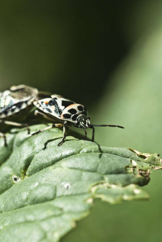 �� �� ��� �����������... ����� ����� ������� �� PhotoGeek.ru #�����