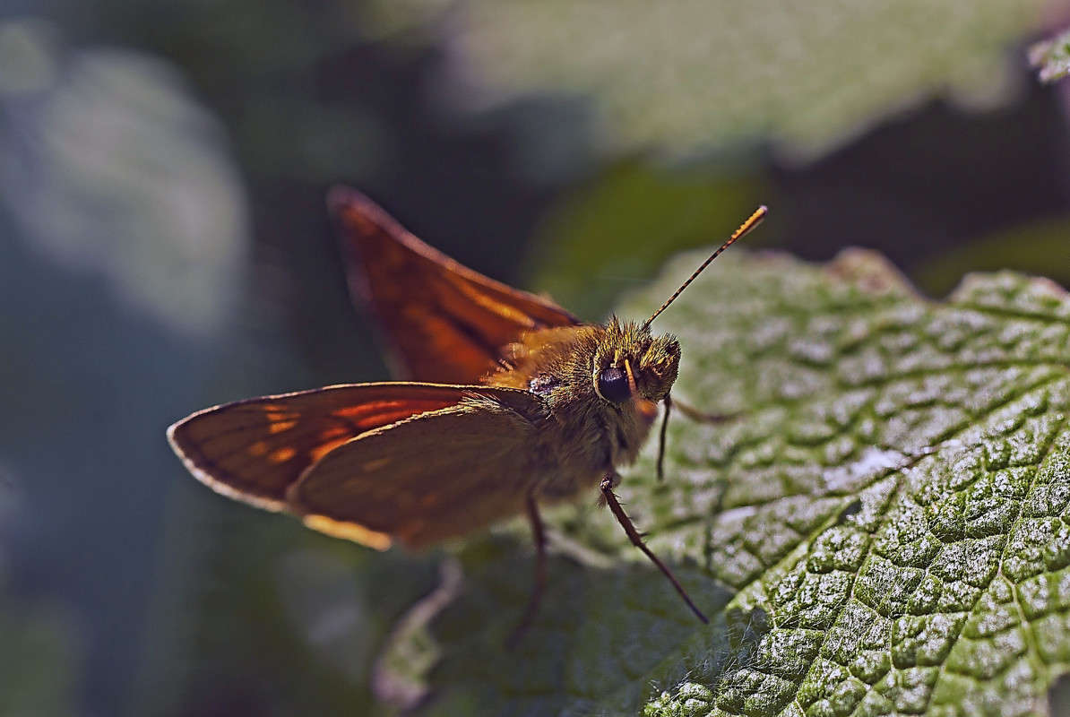 ������ �������� ����� ����� ������� �� PhotoGeek.ru #�����