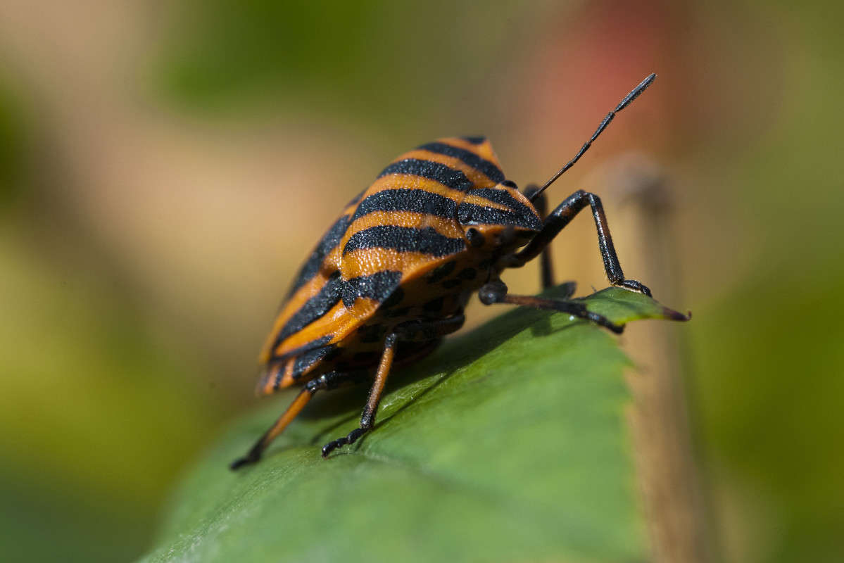 Ǹ��� ����� ����� ������� �� PhotoGeek.ru #�����