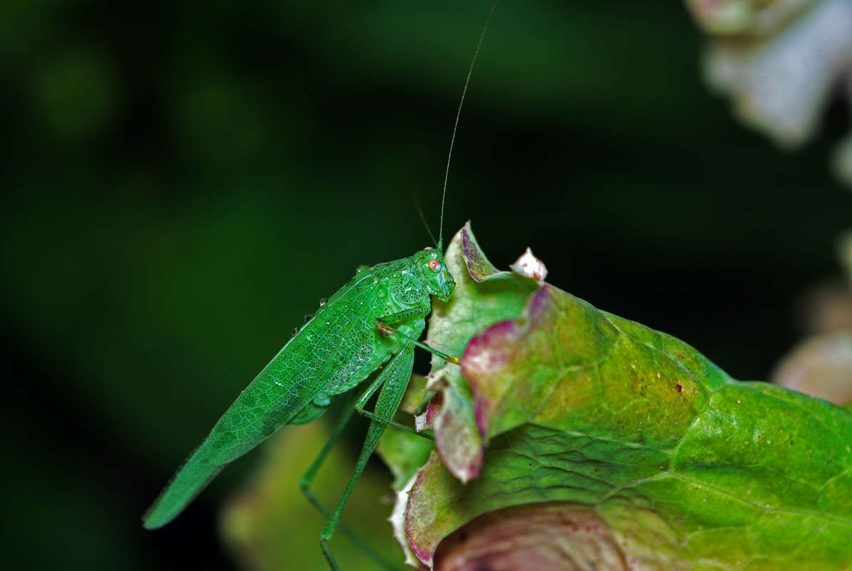 ������ ����� ����� ������� �� PhotoGeek.ru #�����