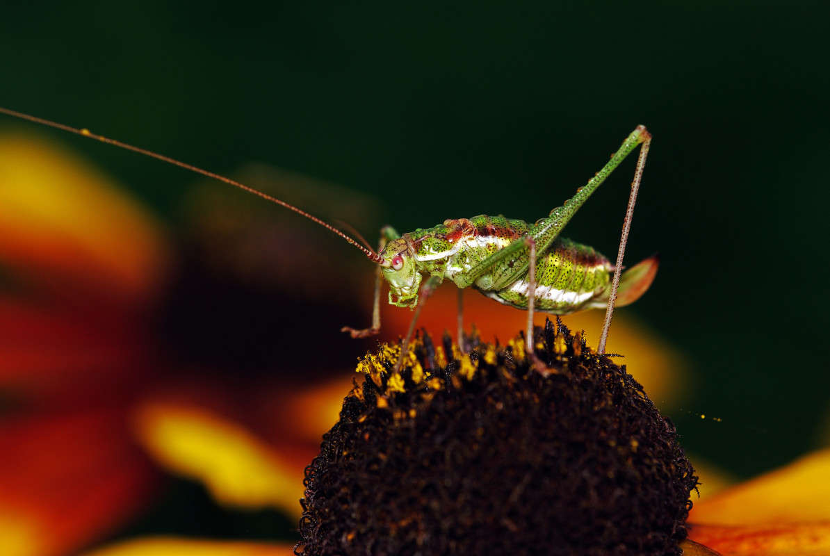 ������ ����� ����� ������� �� PhotoGeek.ru #�����