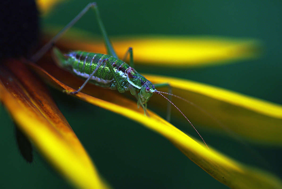 ������ ����� ����� ������� �� PhotoGeek.ru #�����