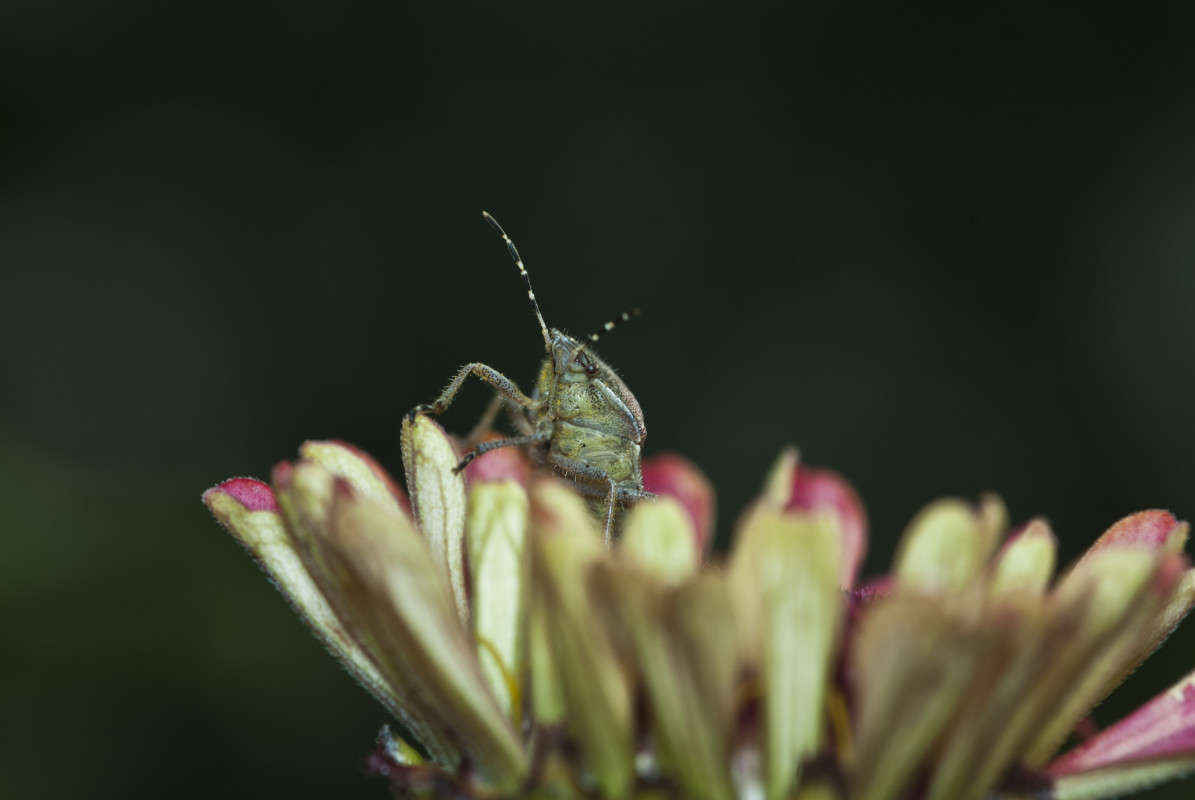 �������� ����� ����� ������� �� PhotoGeek.ru #�����