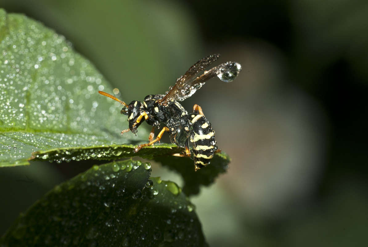 � ������ ����� ����� ������� �� PhotoGeek.ru #�����